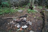 DSC05222.JPG