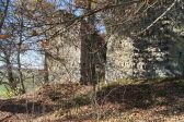 DSC00987.JPG