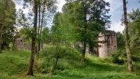 IMG_20150802_114223170_HDR.jpg