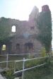 DSC00275.JPG