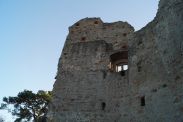 DSC01239.JPG