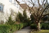 DSC02053.JPG