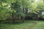 DSC05175.JPG