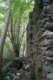DSC05204.JPG