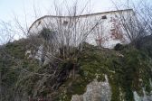 DSC02713.JPG