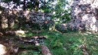 IMG_20140824_134826643.jpg