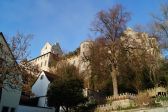 DSC02350.JPG