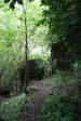 DSC05208.JPG