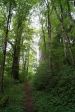 DSC05229.JPG